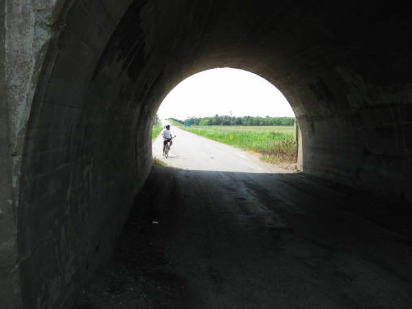 080719144952IMG_0027