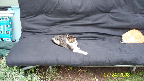 080724155630100_0178