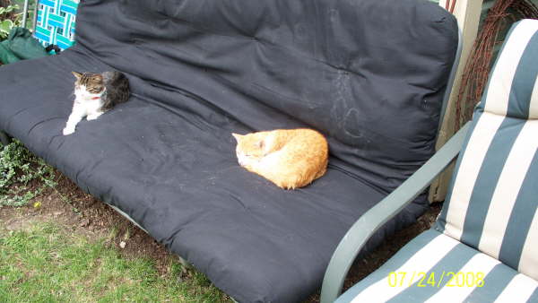 080724155642100_0179